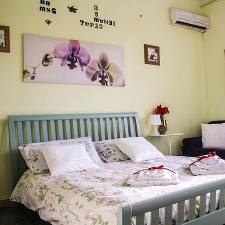 B&B Msg Roma 외부 사진